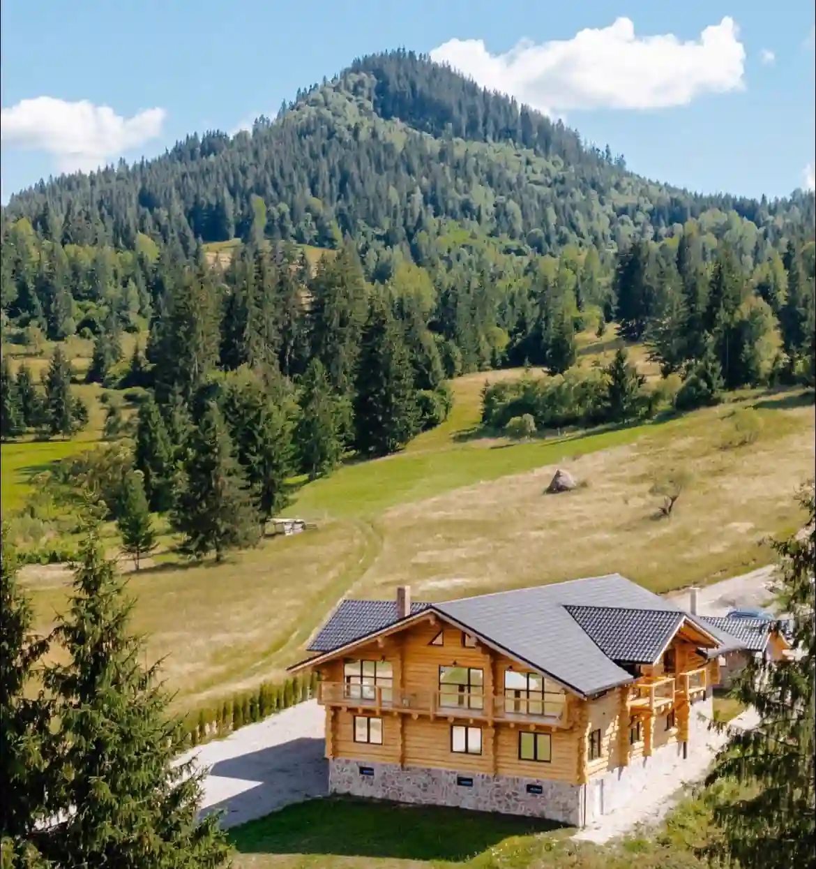 Fox Wood House – zonă exterioară în natură