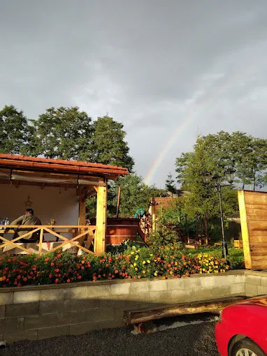 Interior Casa Truța