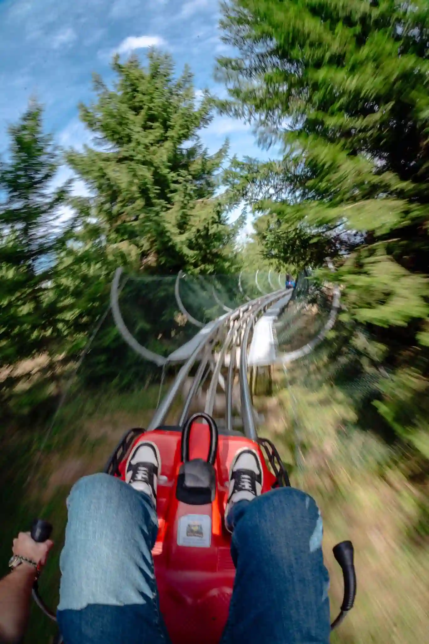 Alpine Coaster Pensiunea Baciu - pista de bob