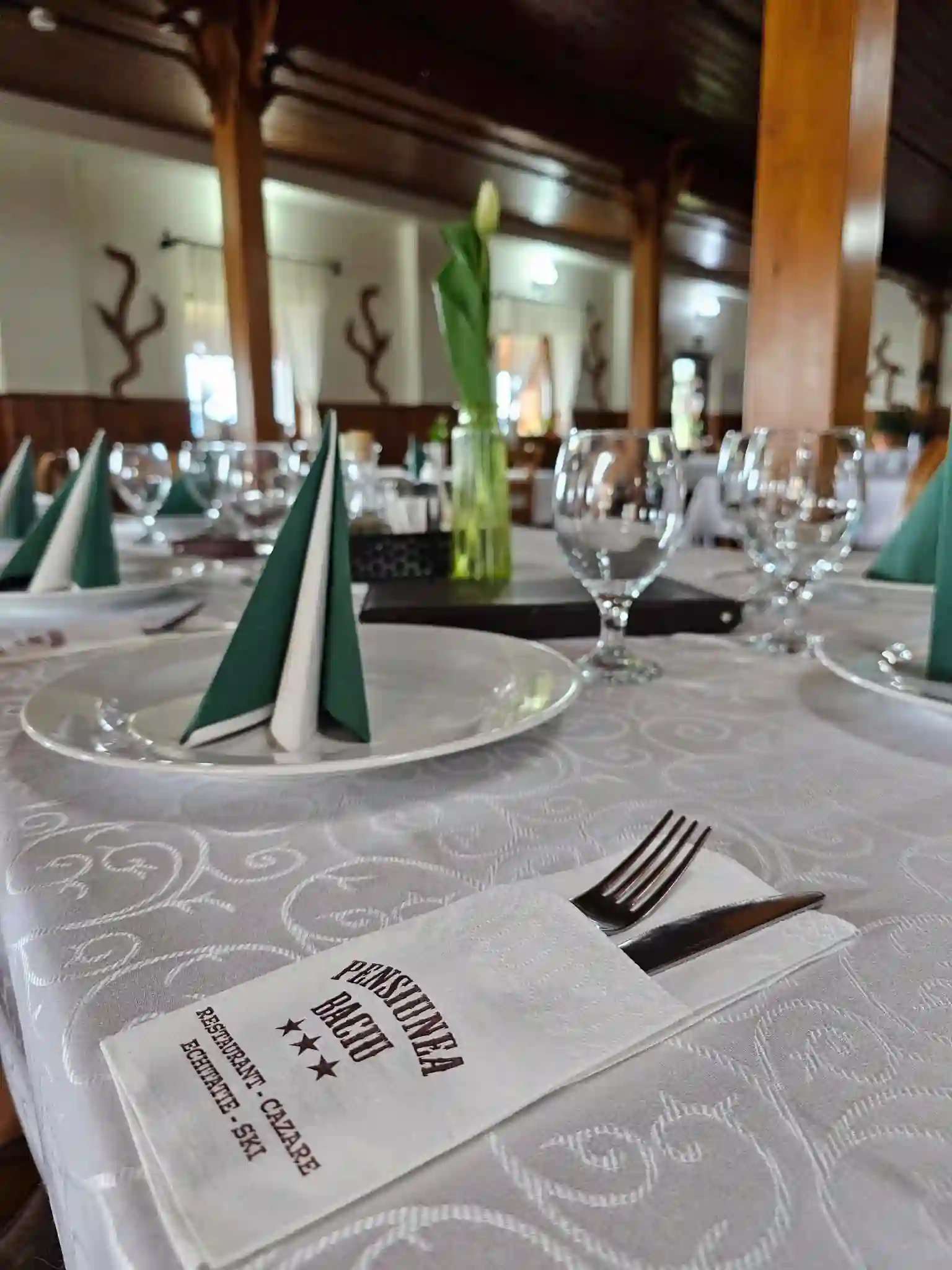 Restaurant Pensiunea Baciu