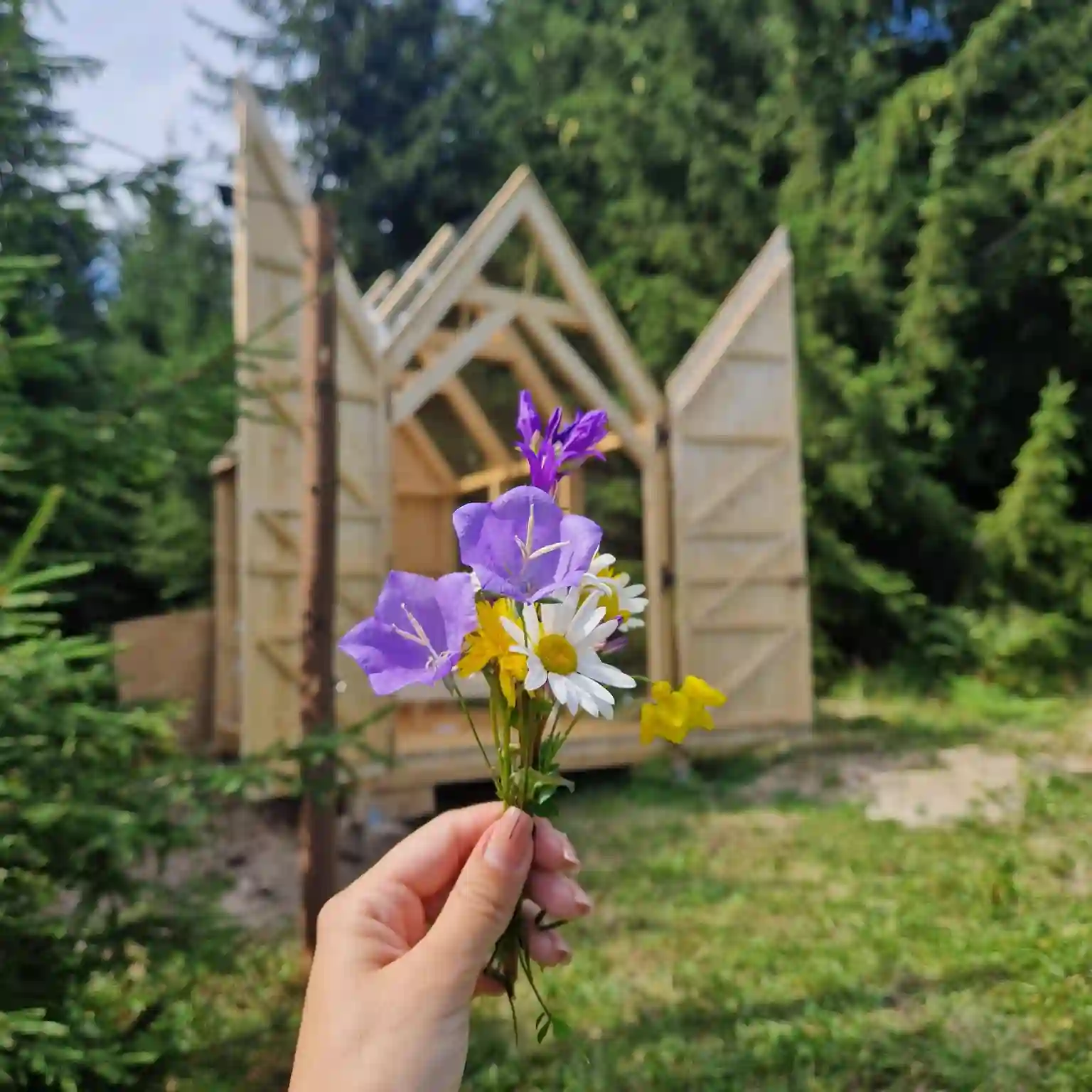 Starry Night Retreat - cabană de sticlă