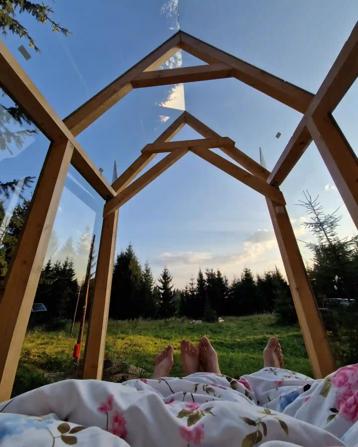 Starry Night Retreat - natură