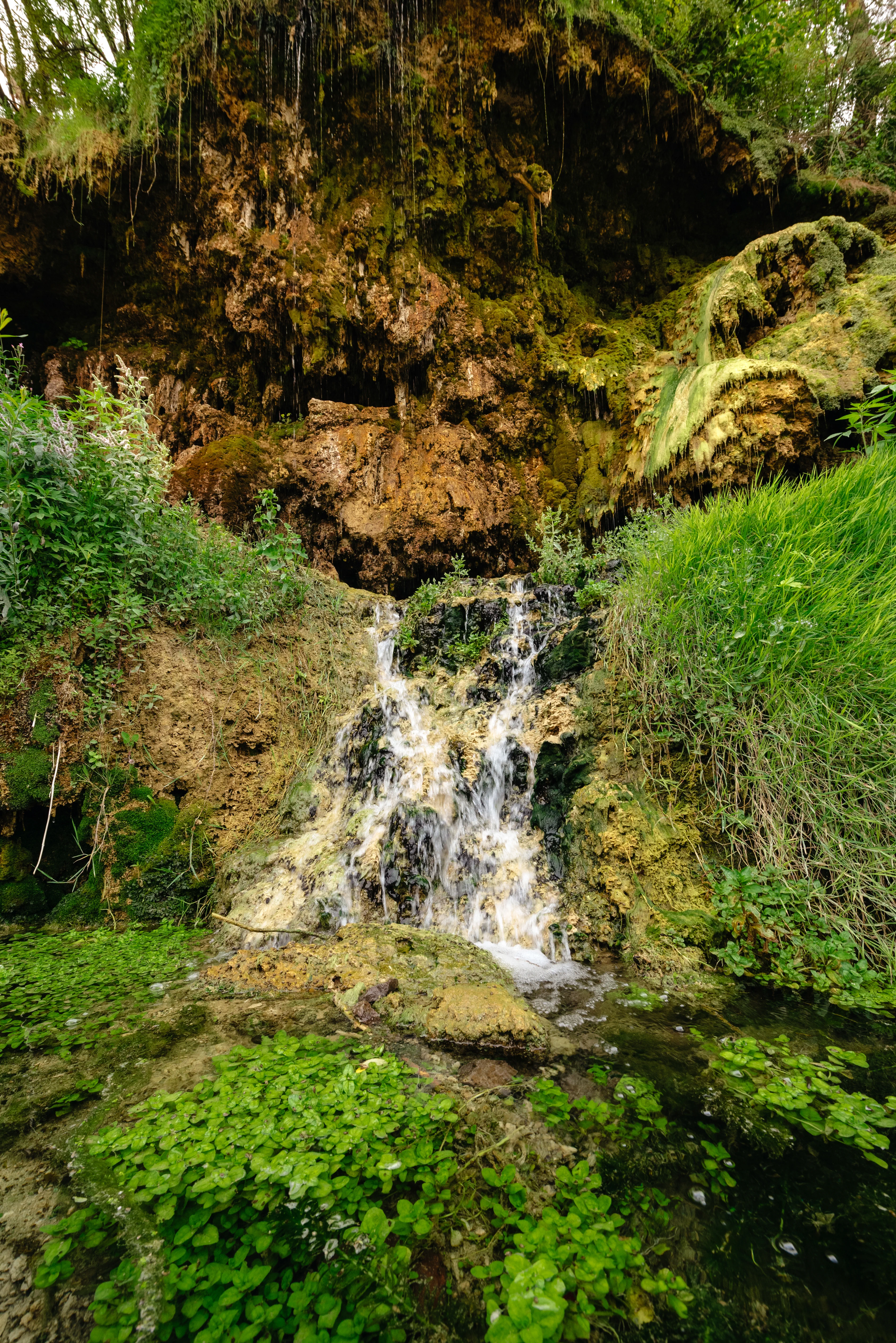 Rezervație Naturală