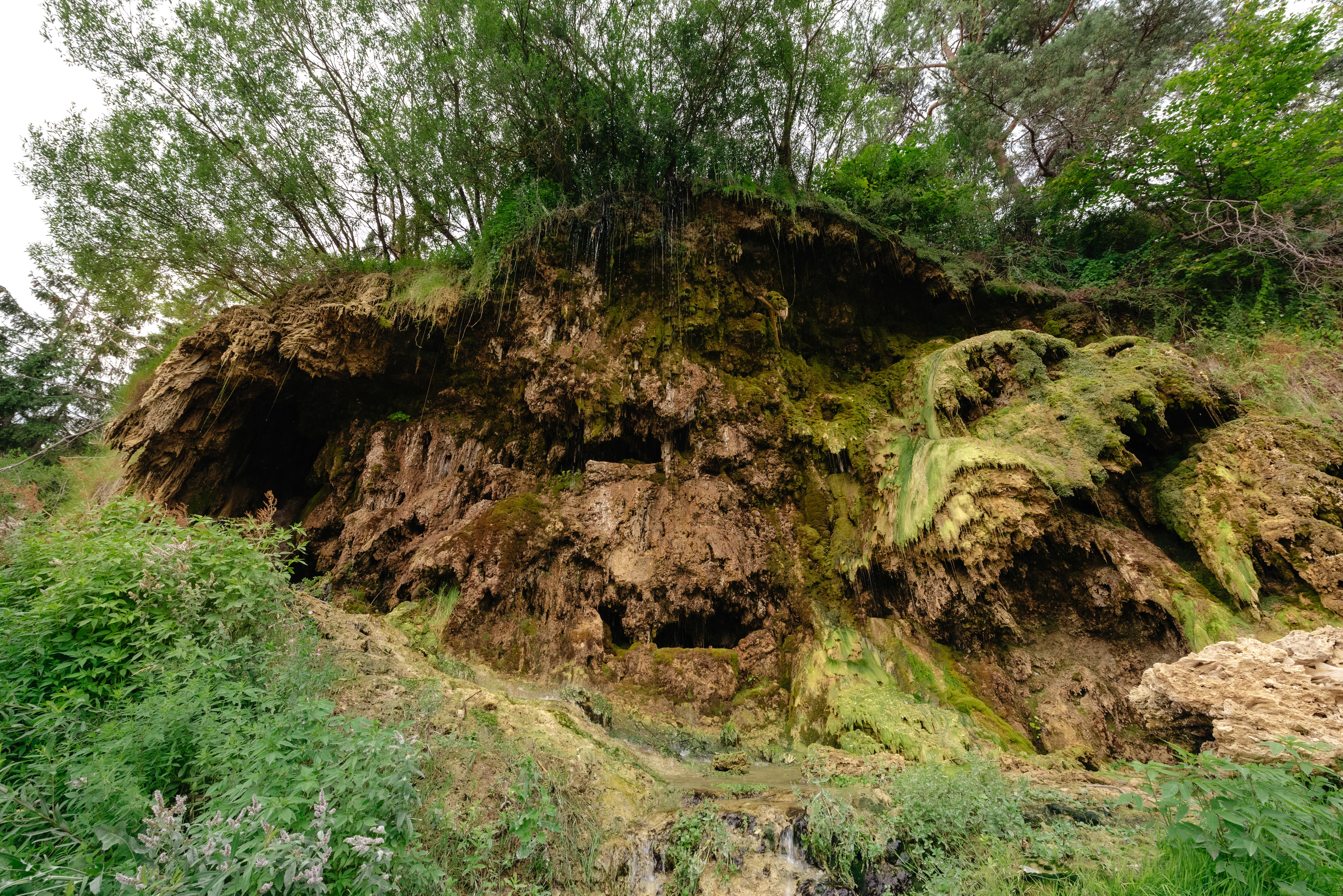 Cascada Mezotermală