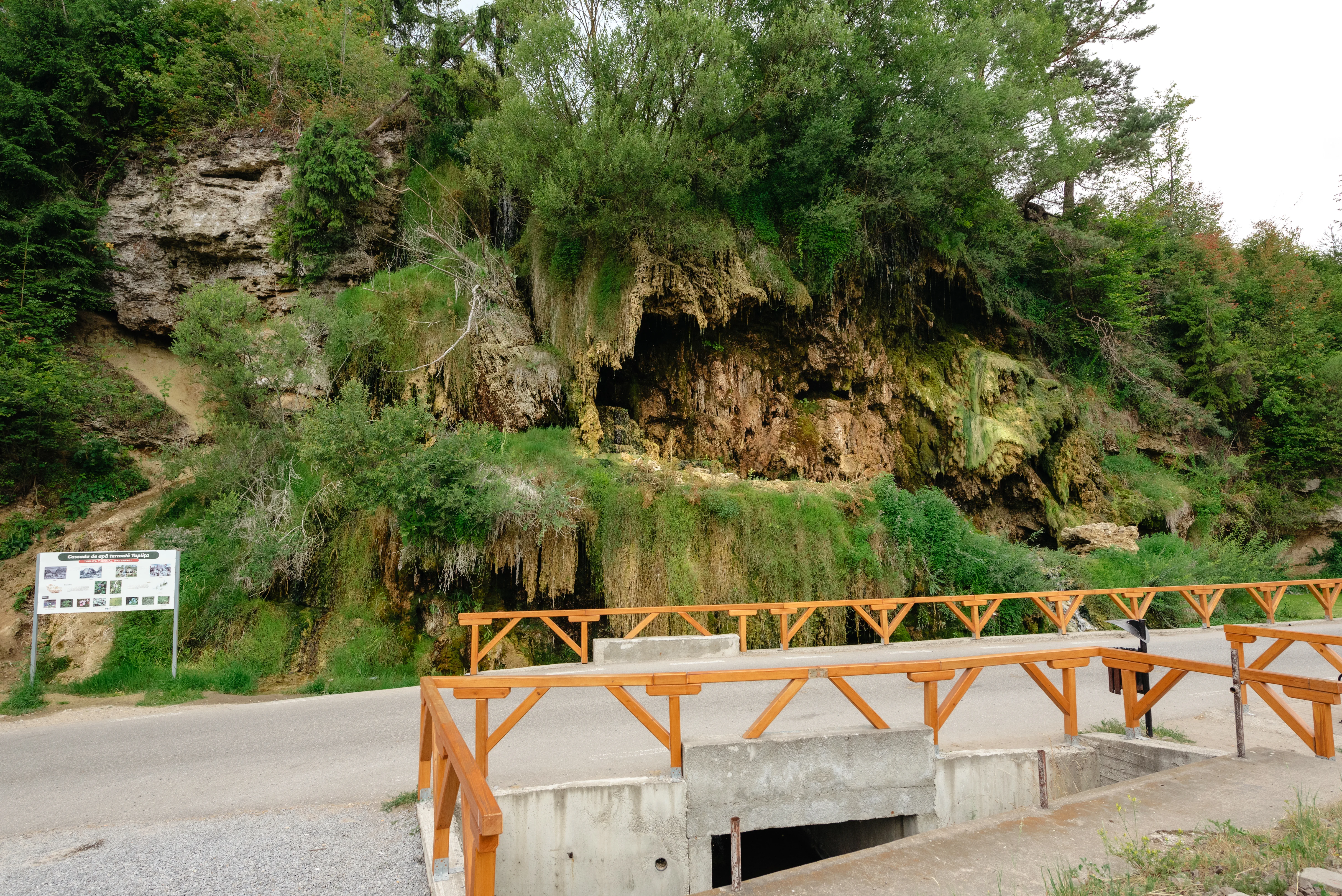 Rezervație Biologică