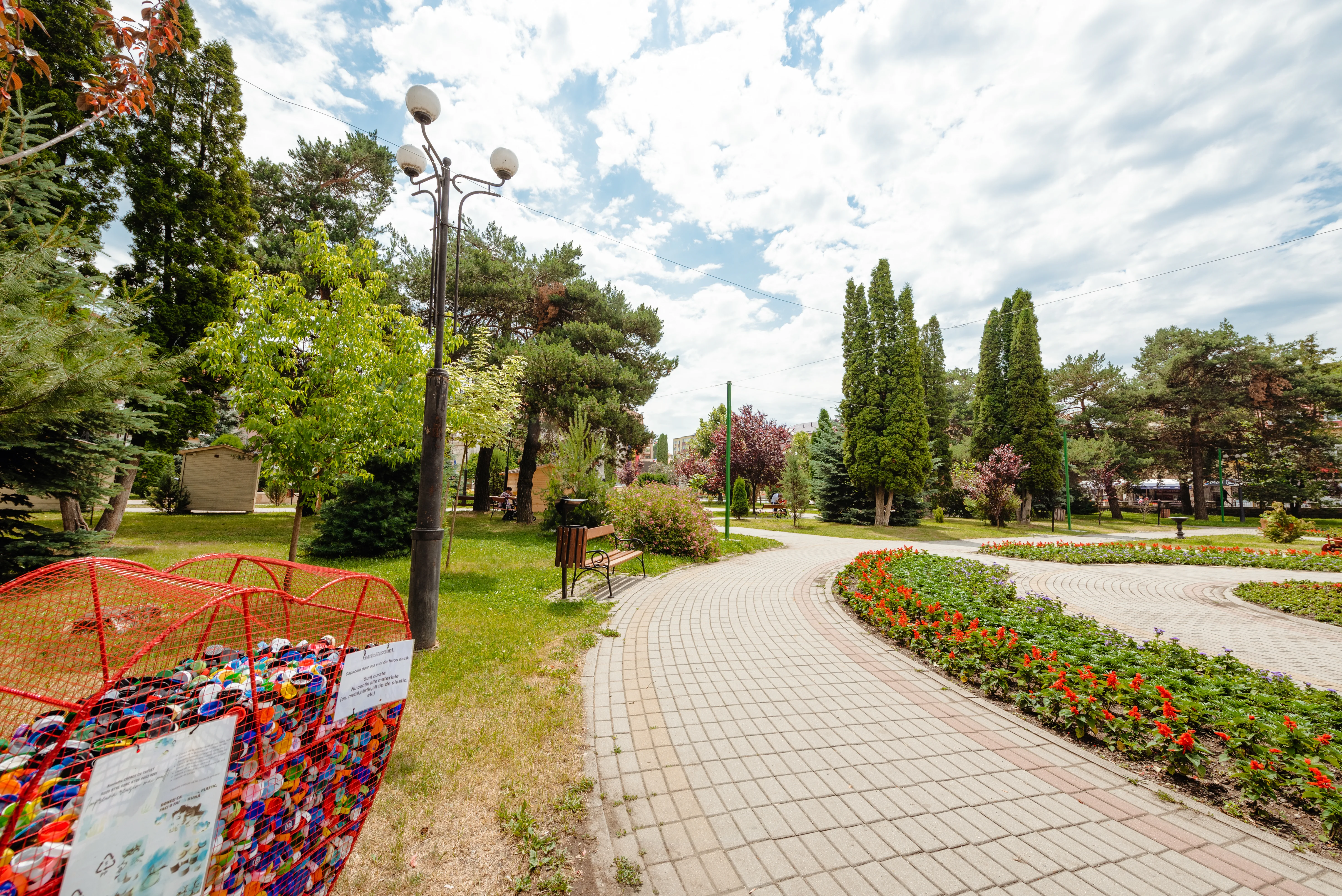Cafenele și Restaurante