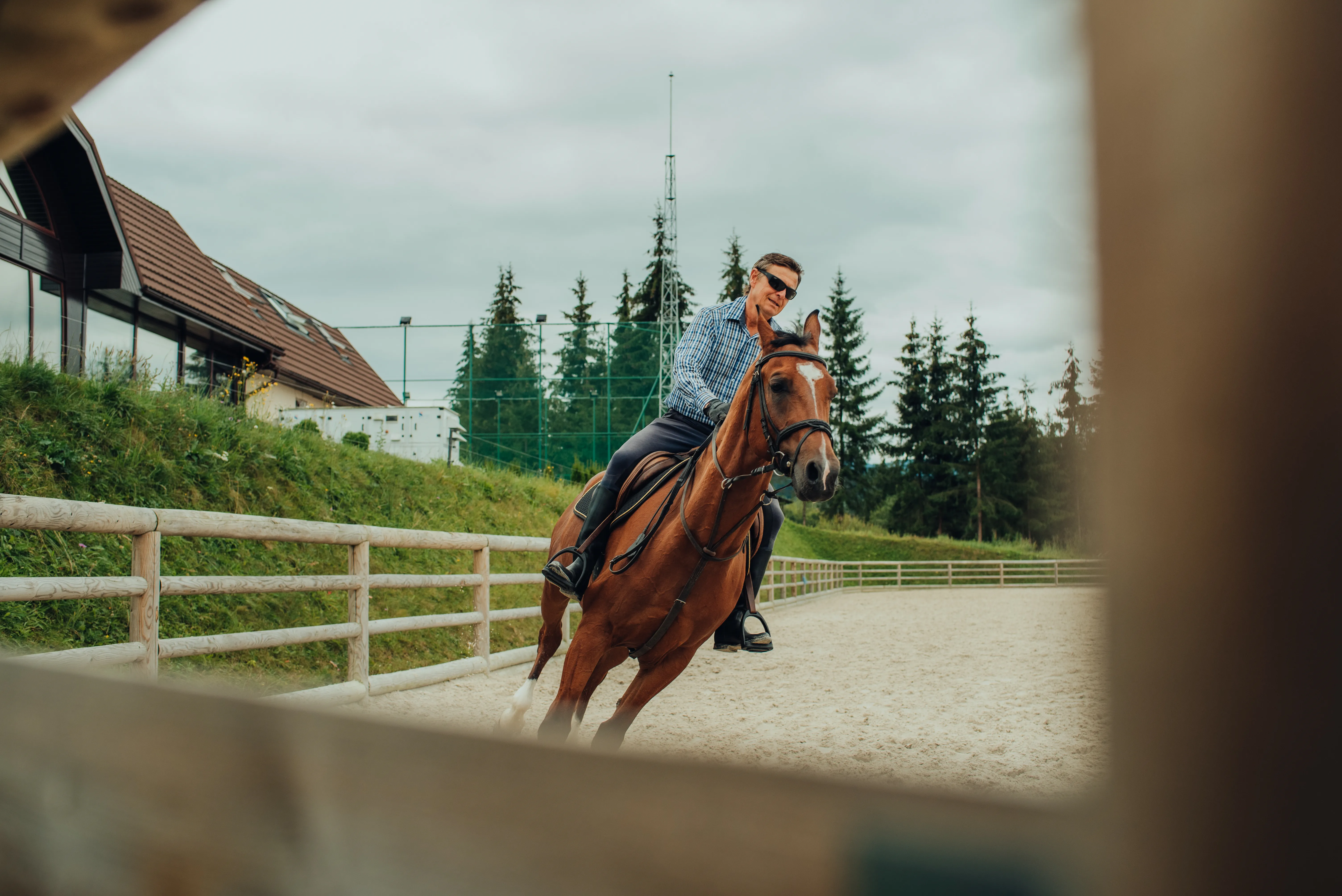 Ghizi Profesioniști