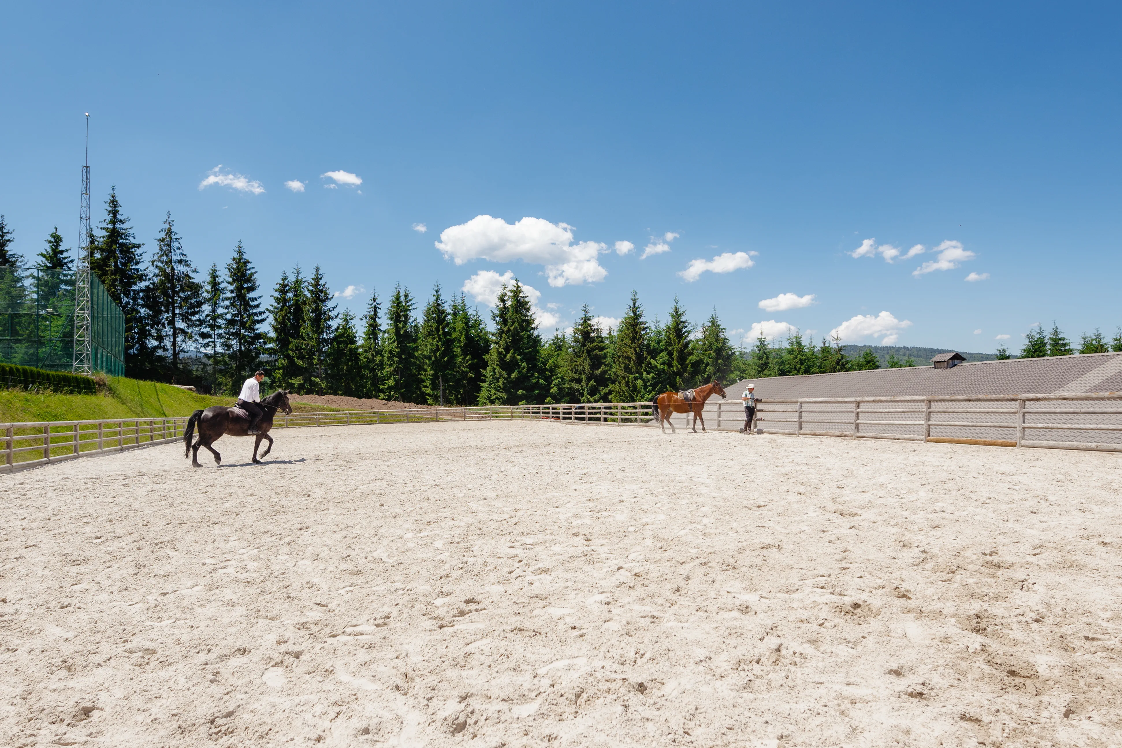 Cursuri pentru Începători