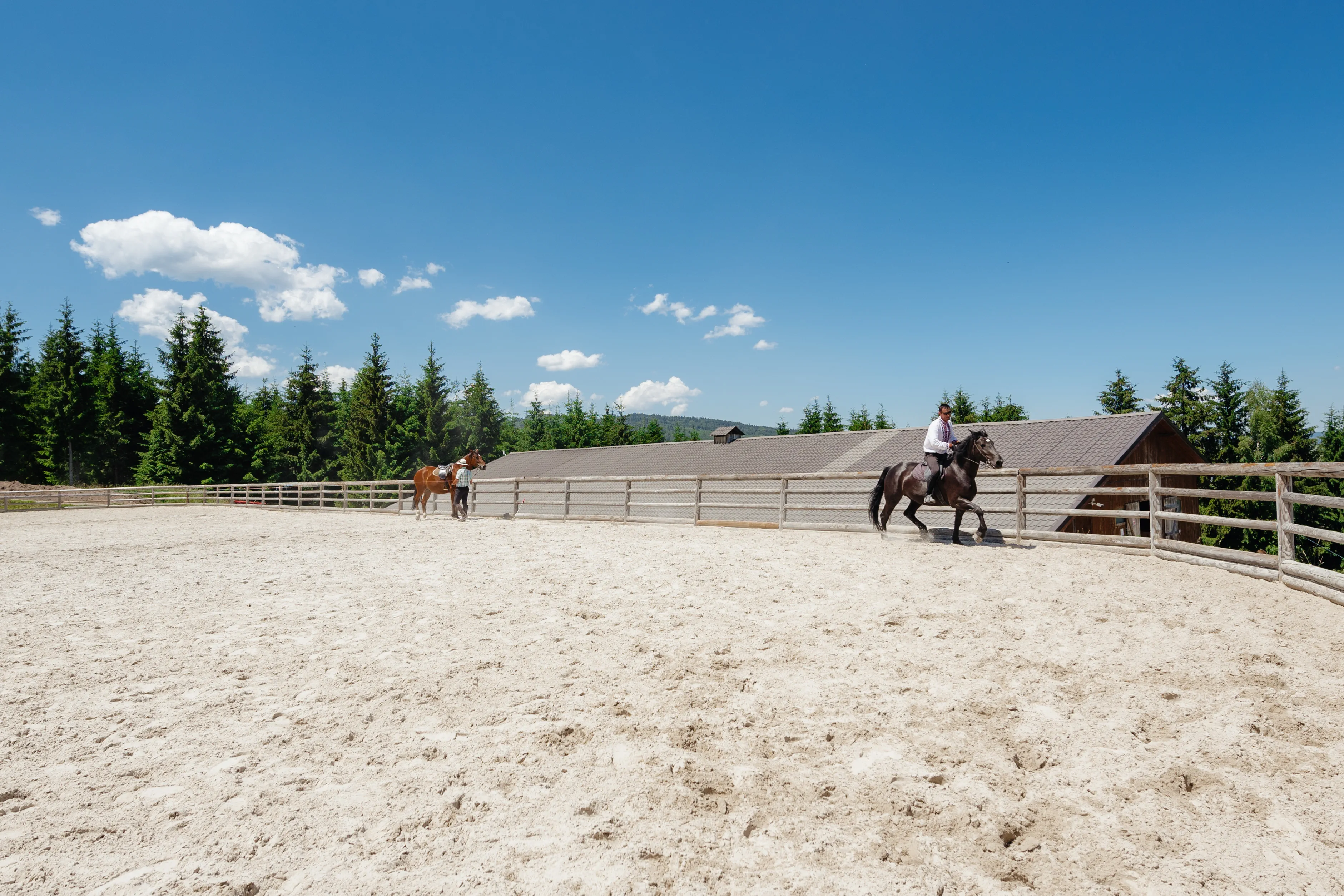 Echipamente Profesionale