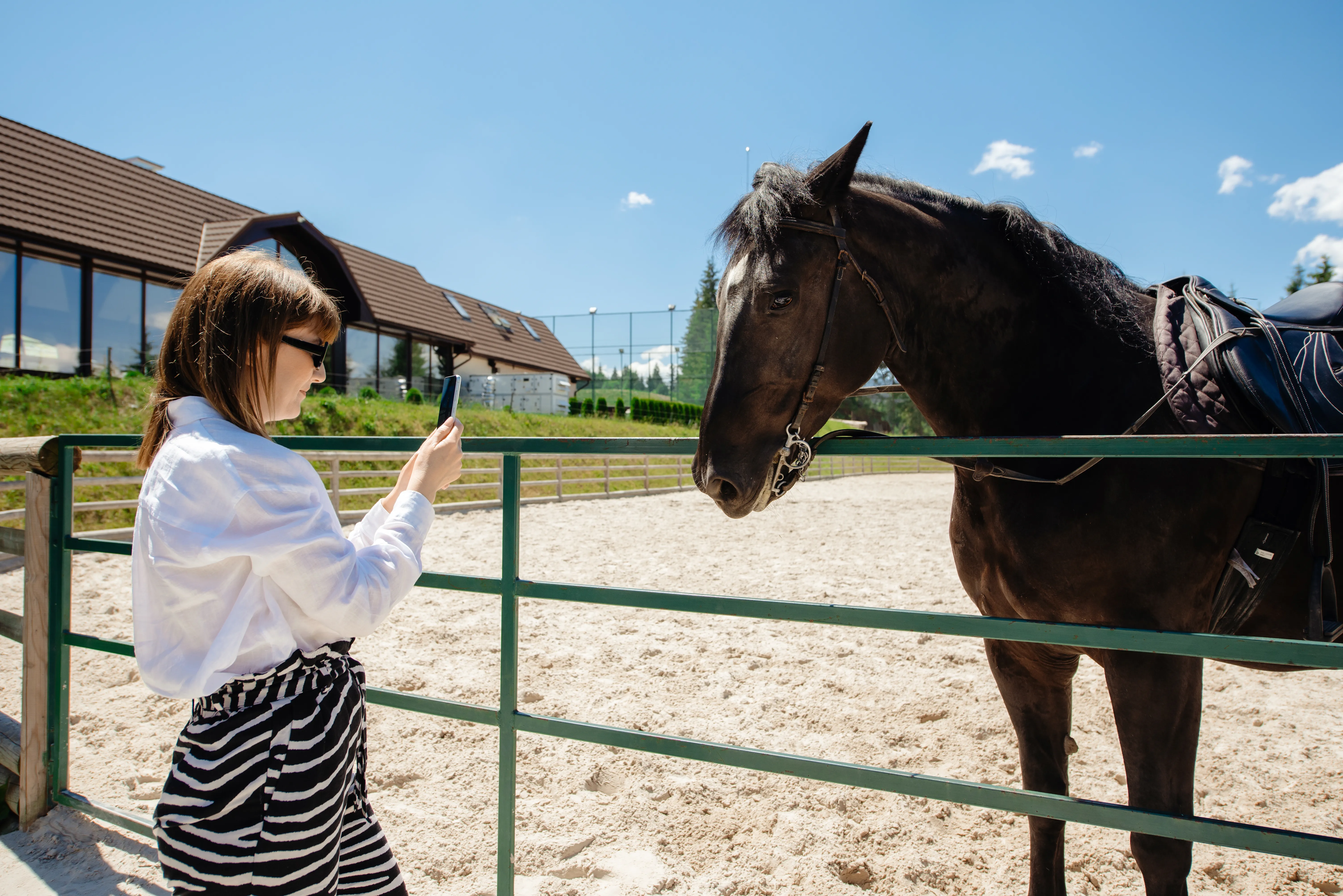 Aventură în Munți