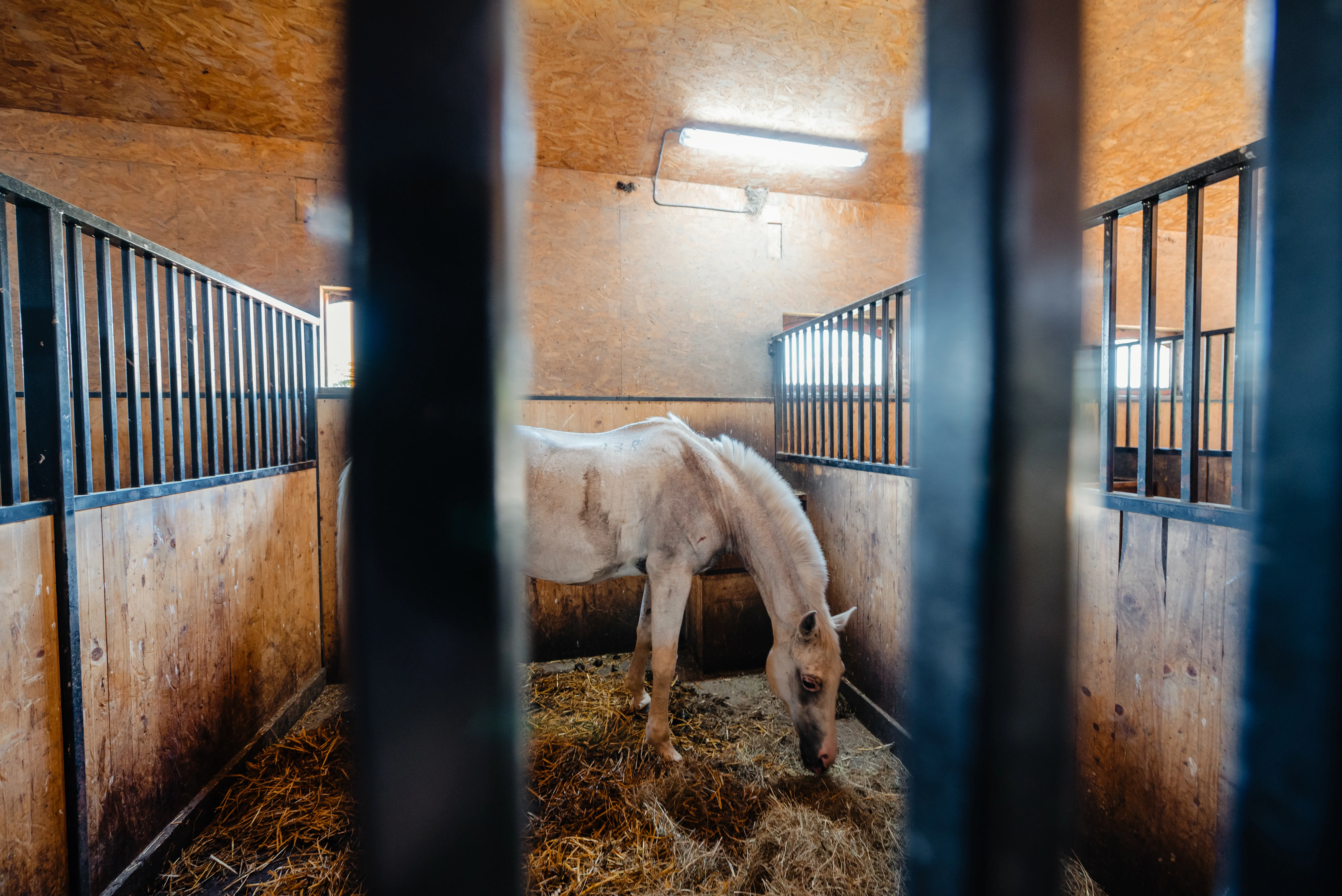 Relaxare și Wellness