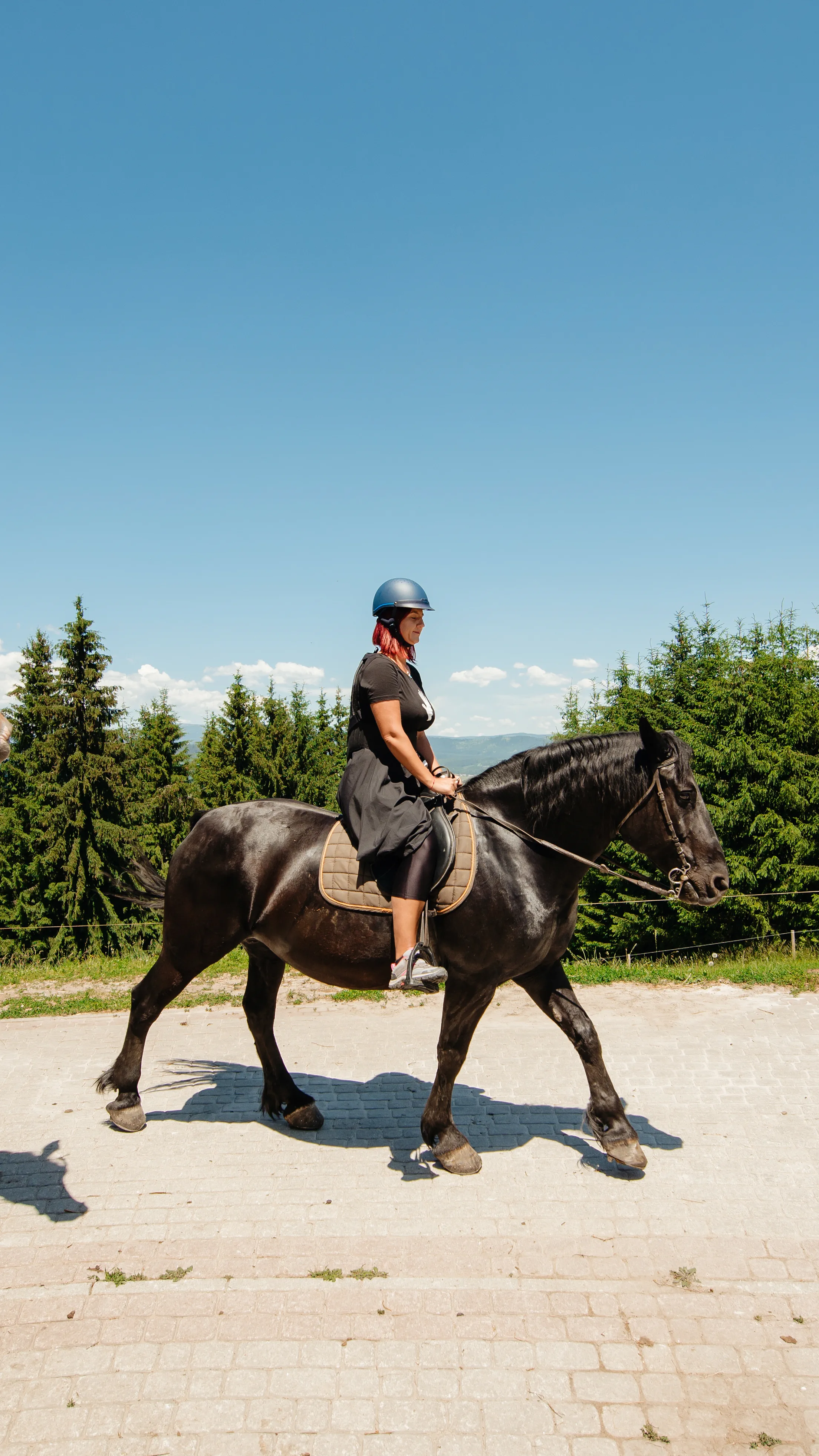 Centru de Echitație Toplița