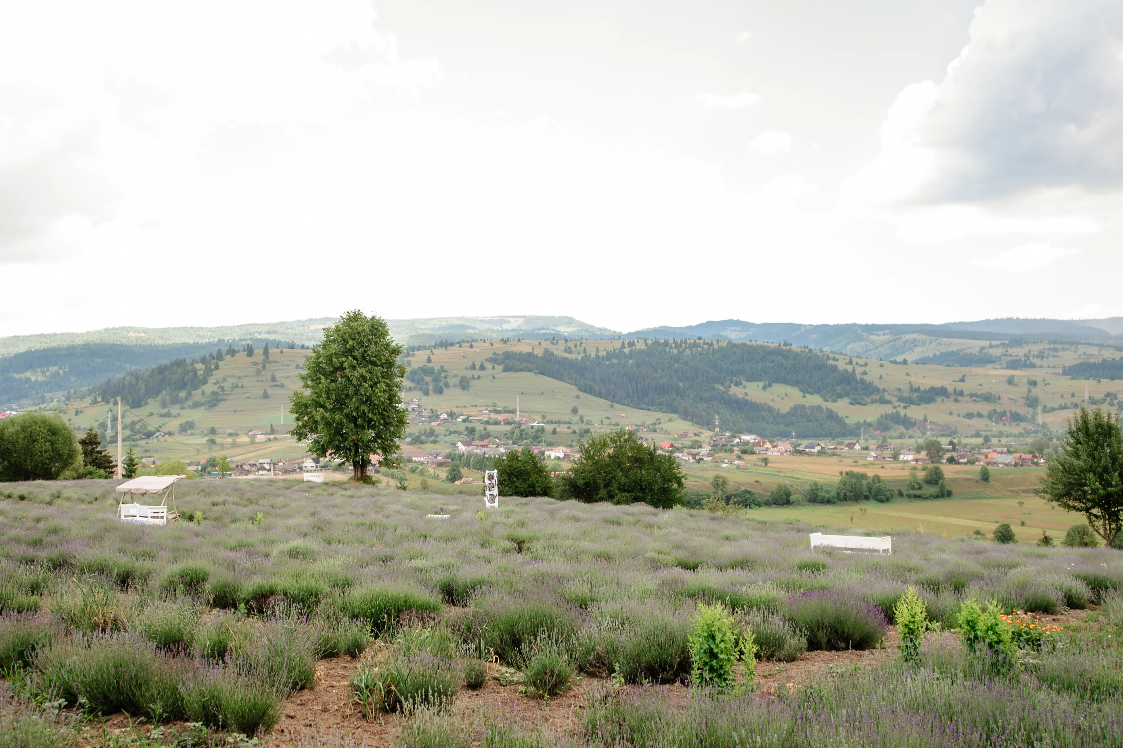 Destinație Fotografică