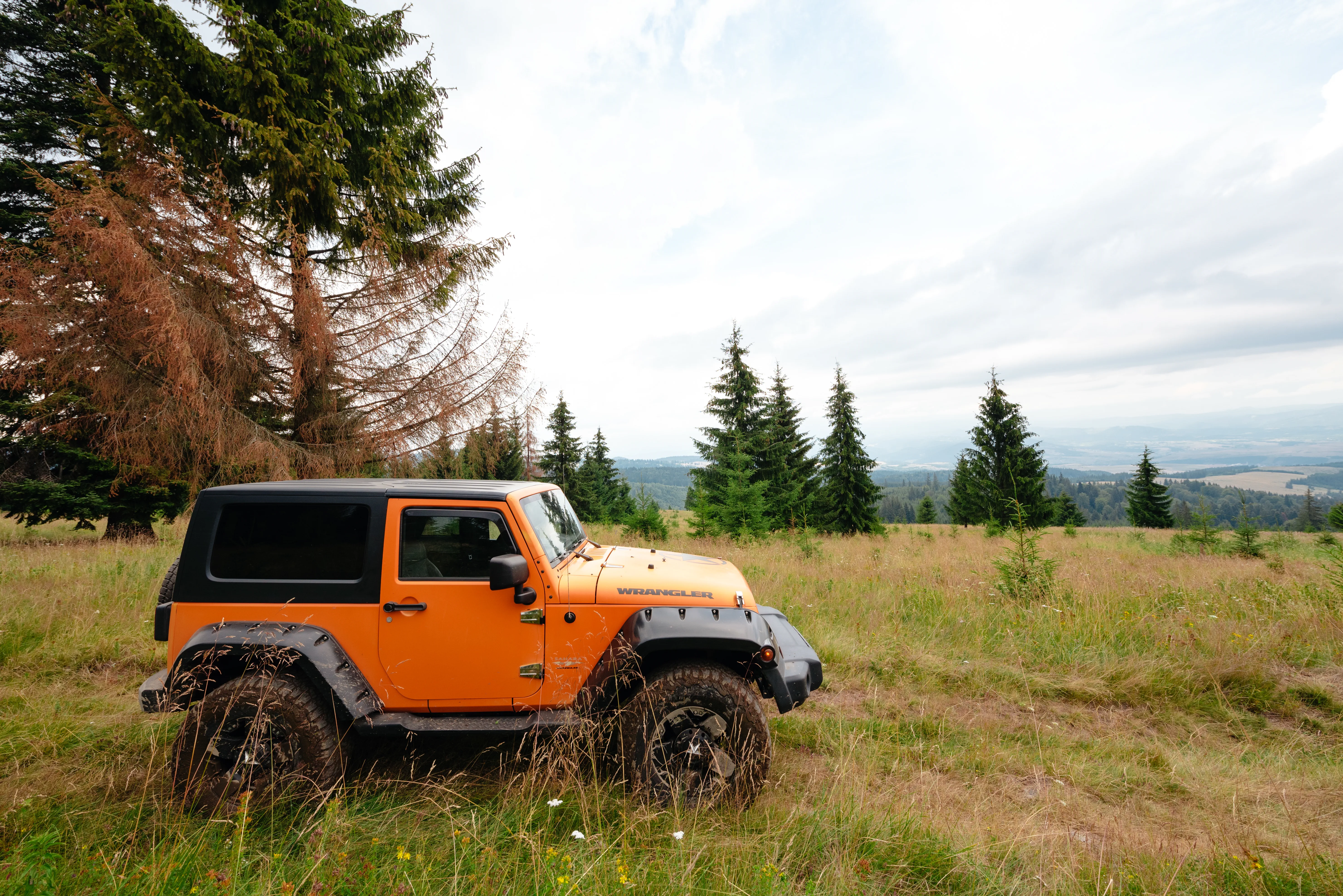 Ghizi Profesioniști