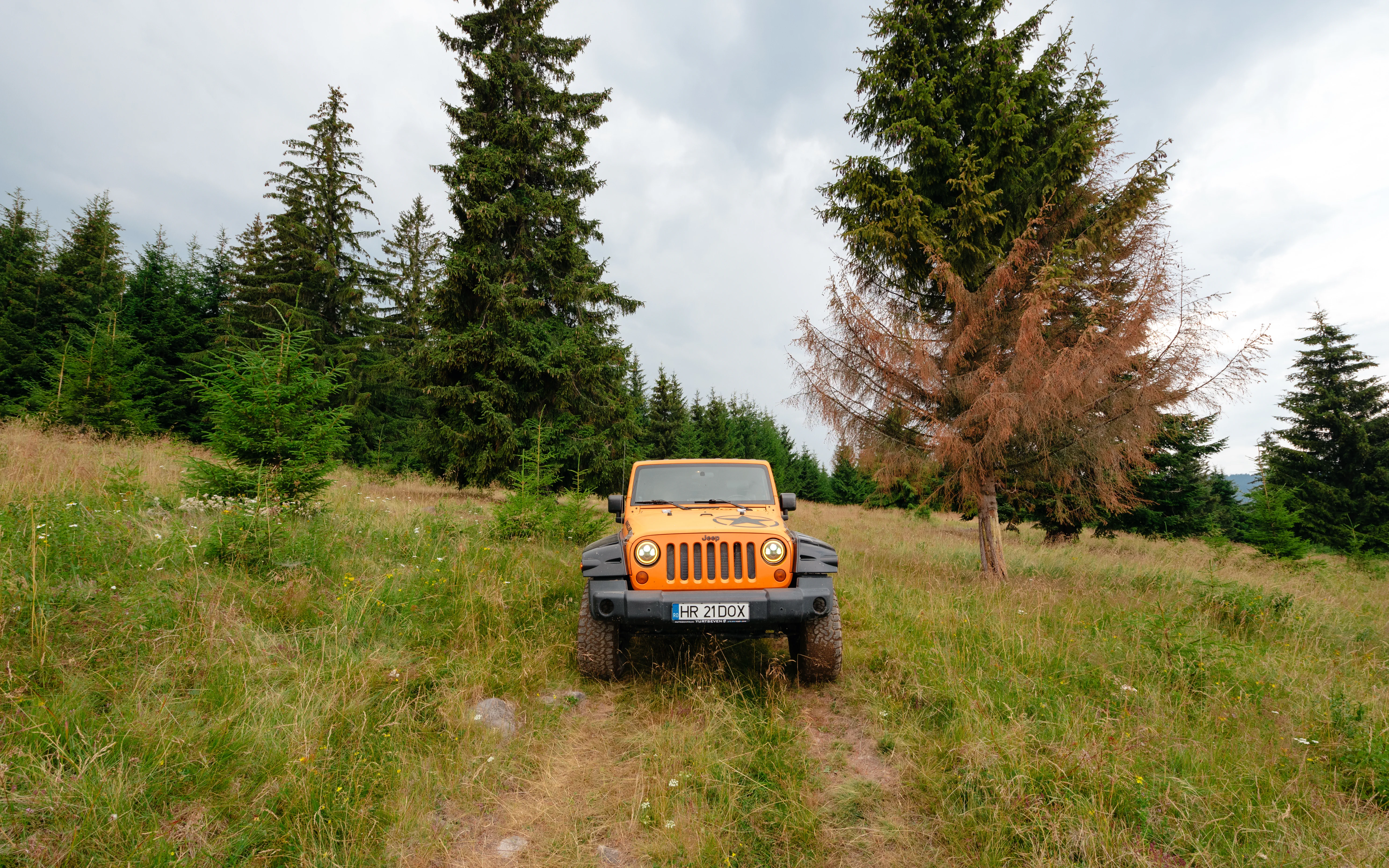 Echipament Siguranță