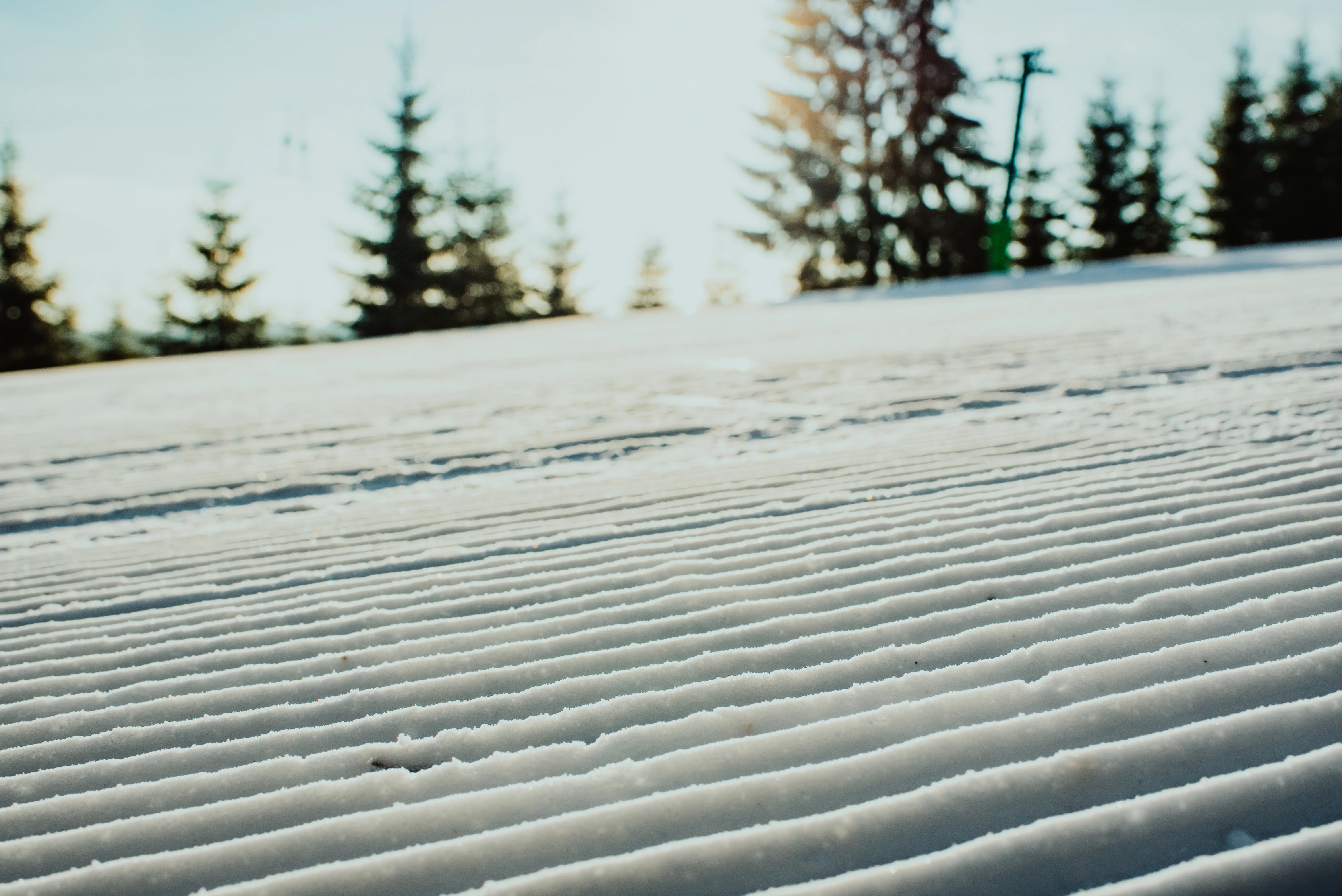 Zăpadă Artificială