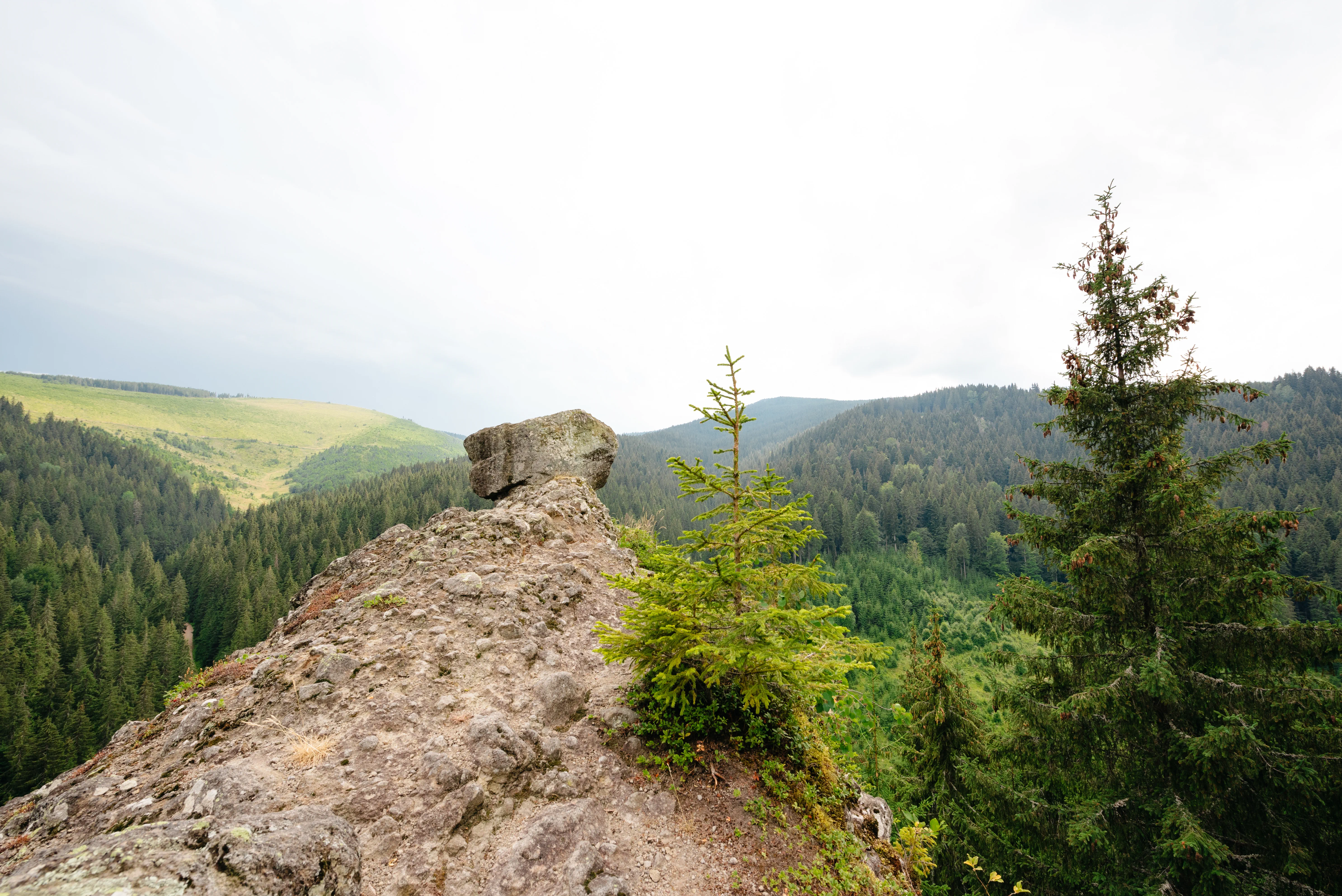 Activitate Vulcanică