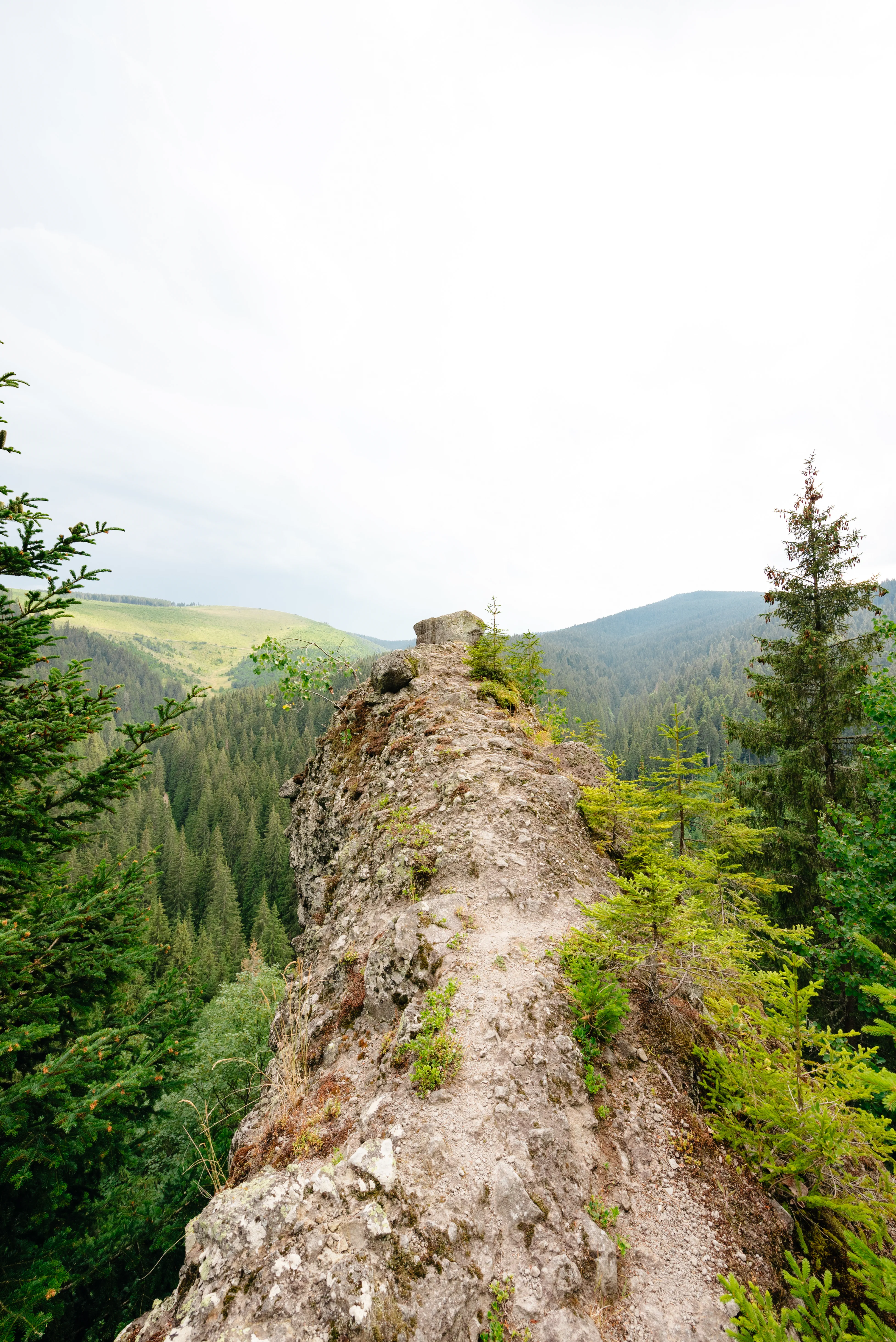 Stâncile Coloape Toplița